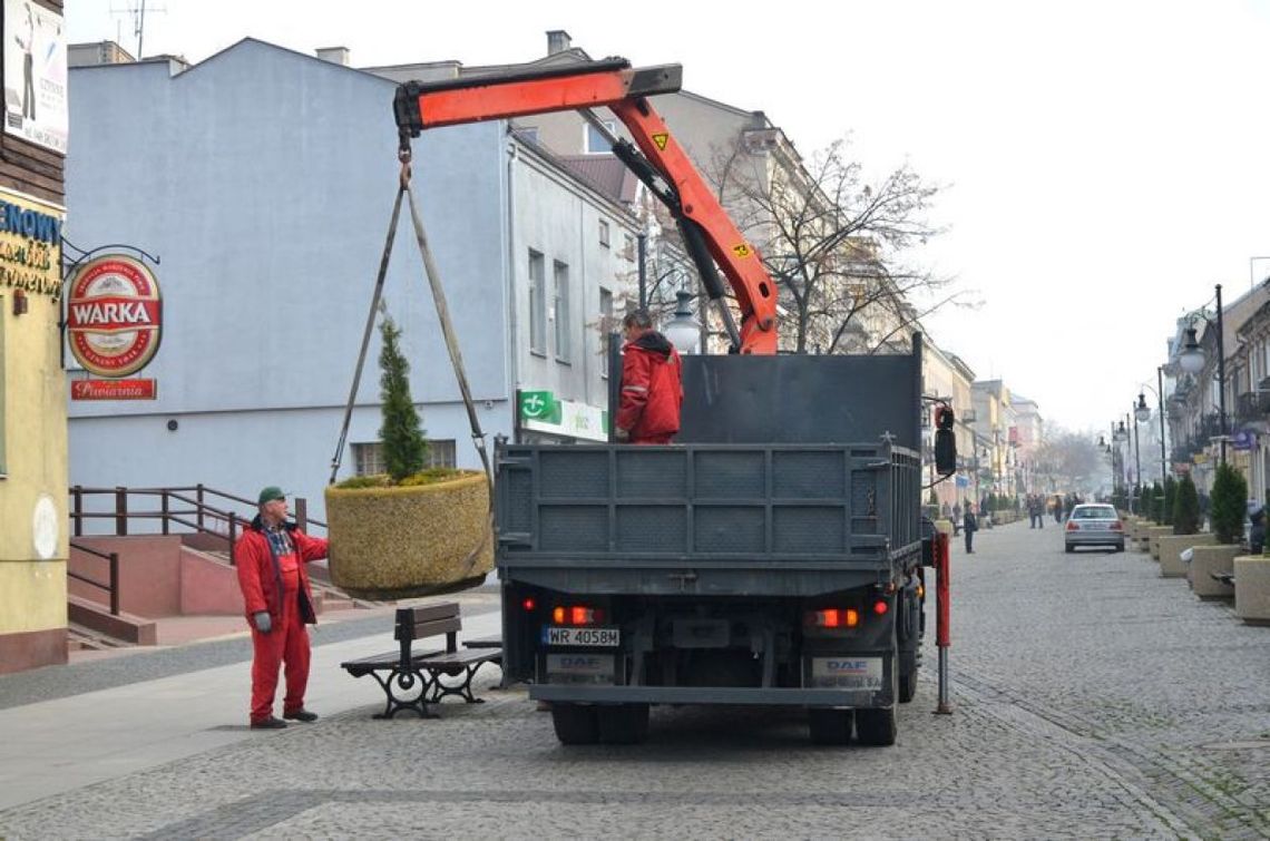 Gazony przygotowane na zimę. Tuje nie uschną?