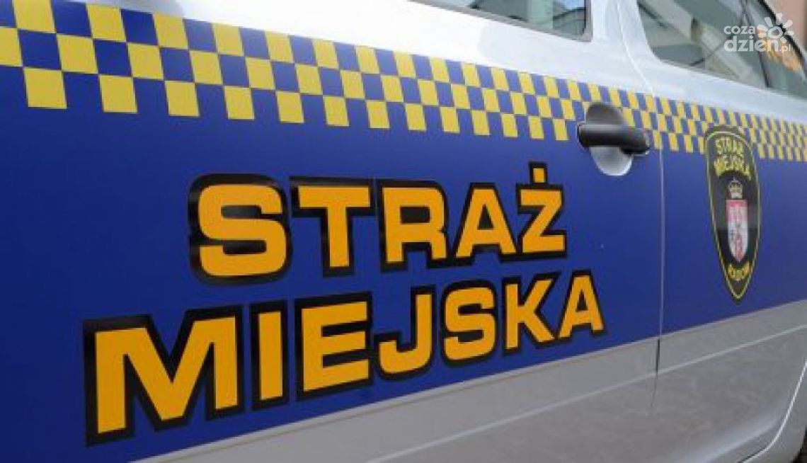 Głową próbował uderzyć dowódcę patrolu 