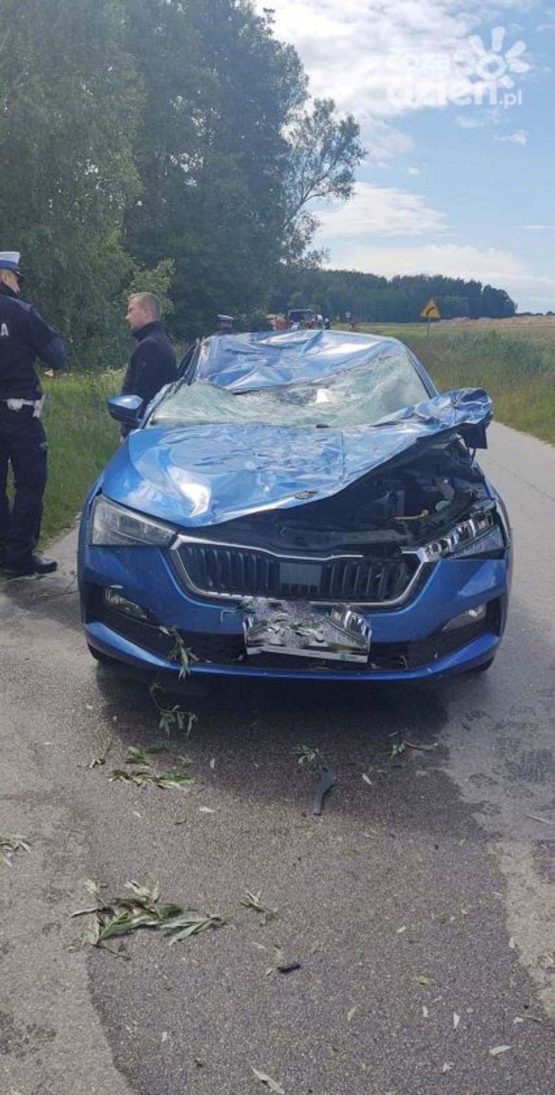 Głowaczów. Drzewo spadło na auto, ranny został 6-latek