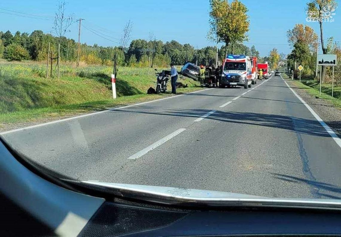 Gmina Kowala. Zderzenie z łosiem