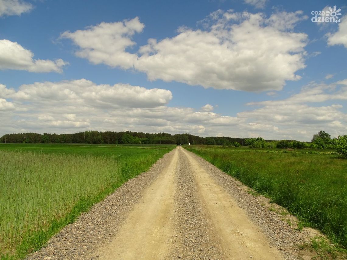 Gmina Zwoleń wkrótce rozpocznie budowę nowej drogi