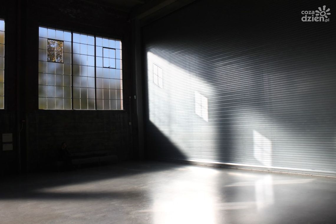 Graż Drewnopodobny: Alternatywa dla Tradycyjnego Blaszaka Graż Drewnopodobny: Alternatywa dla Tradycyjnego Blaszaka