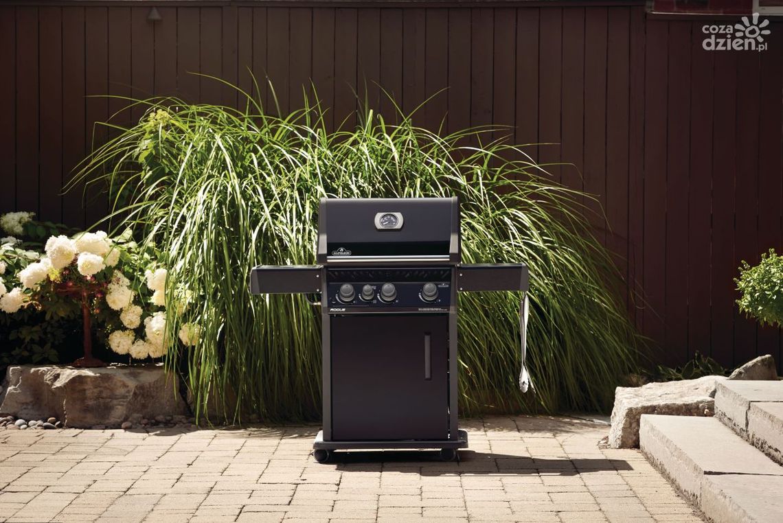 Grille gazowe Napoleon Rogue 2025 – porównanie 3 najnowszych modeli: 365, 425, 425 RB