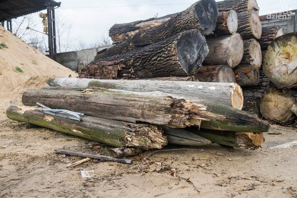 Grodzisko Piotrówka straciło znak firmowy