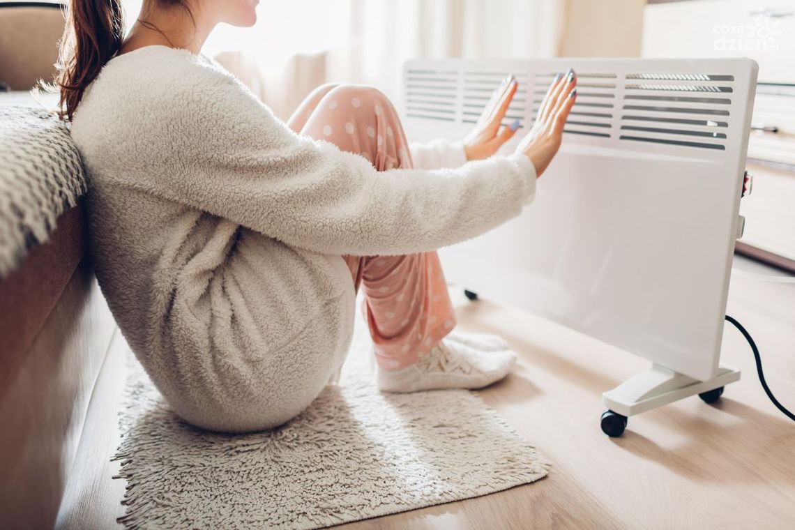 Grzejniki ścienne olejowe – sposób na oszczędne i efektywne ogrzanie domu i mieszkania? Grzejniki ścienne olejowe – sposób na oszczędne i efektywne ogrzanie domu i mieszkania?