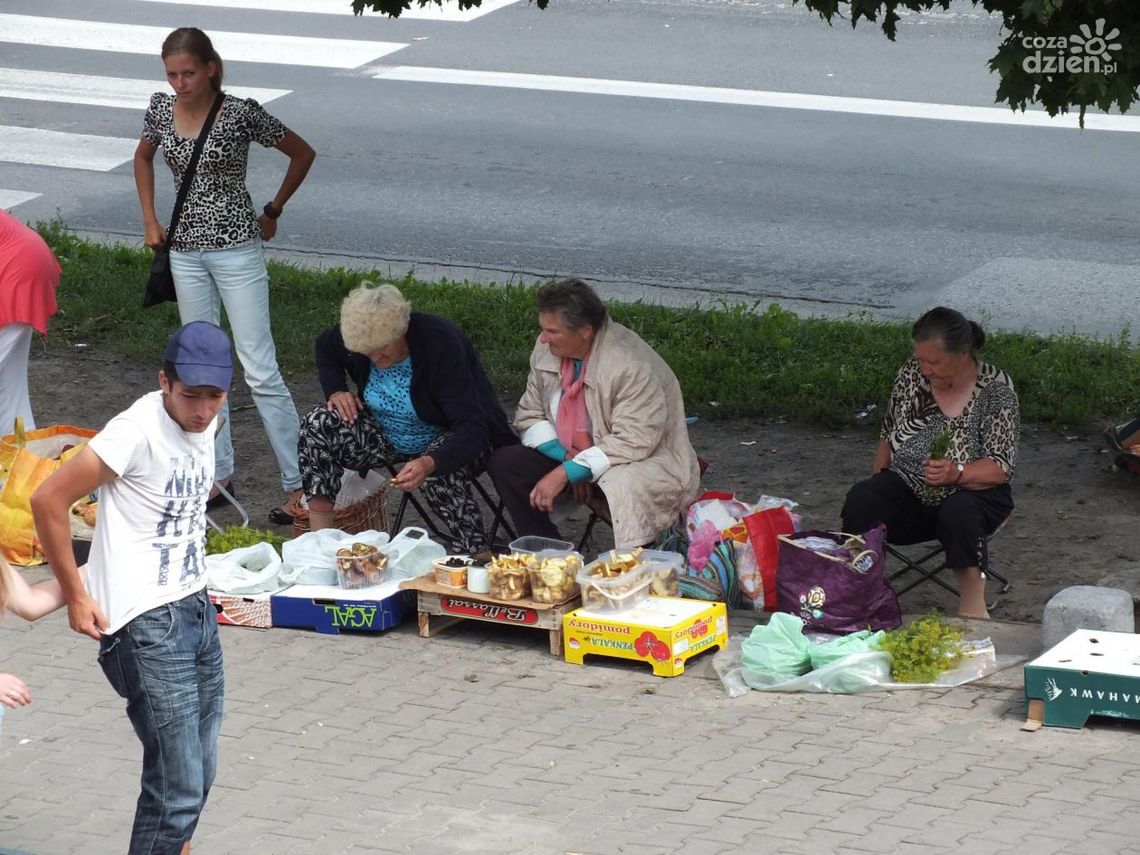 Grzyby z atestem, czyli...