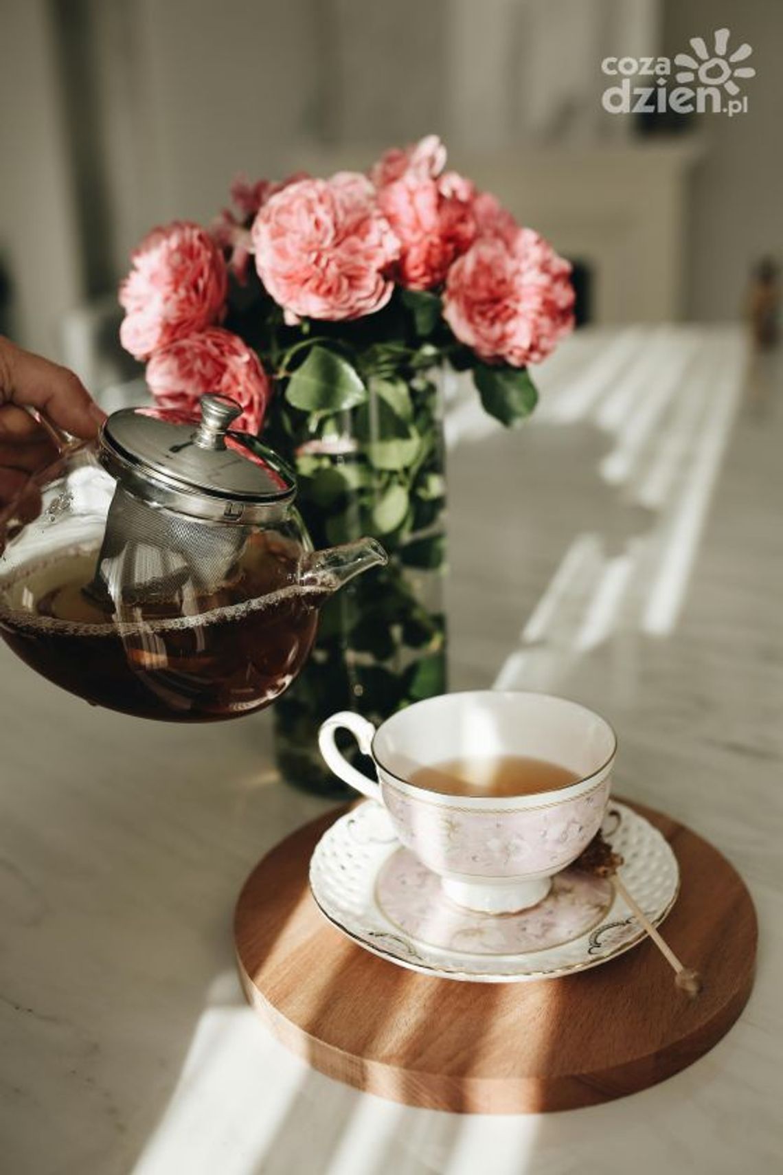 Herbaty Owocowe, Czarne, Zielone, Oolong, Smakowe: Co Wybrać? Znajdź Ulubioną Herbatę z Venosa.pl