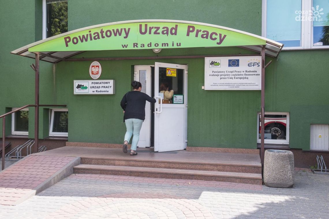 Historyczny rok radomskiego pośredniaka 