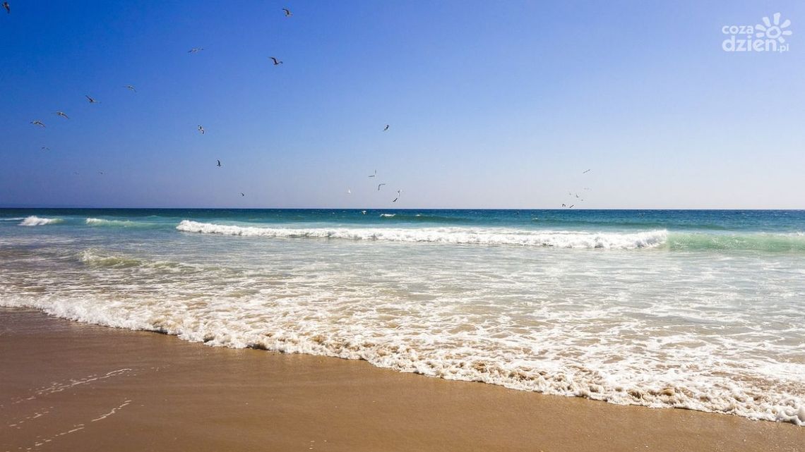 Hotel z atrakcjami dla dzieci nad morzem — najlepszy pomysł na rodzinny urlop