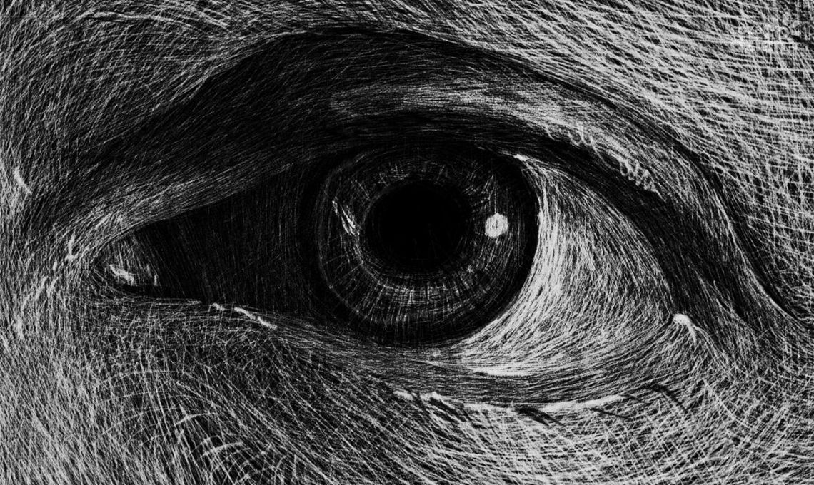 I część wystawy "CIAŁO" w Galerii Łaźnia