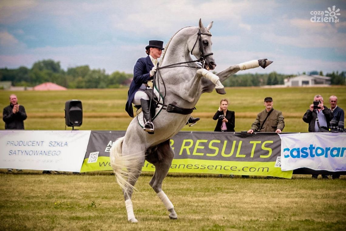 III Ogólnopolski Czempionat Koni Arabskich Radom 2018 (dzień II)