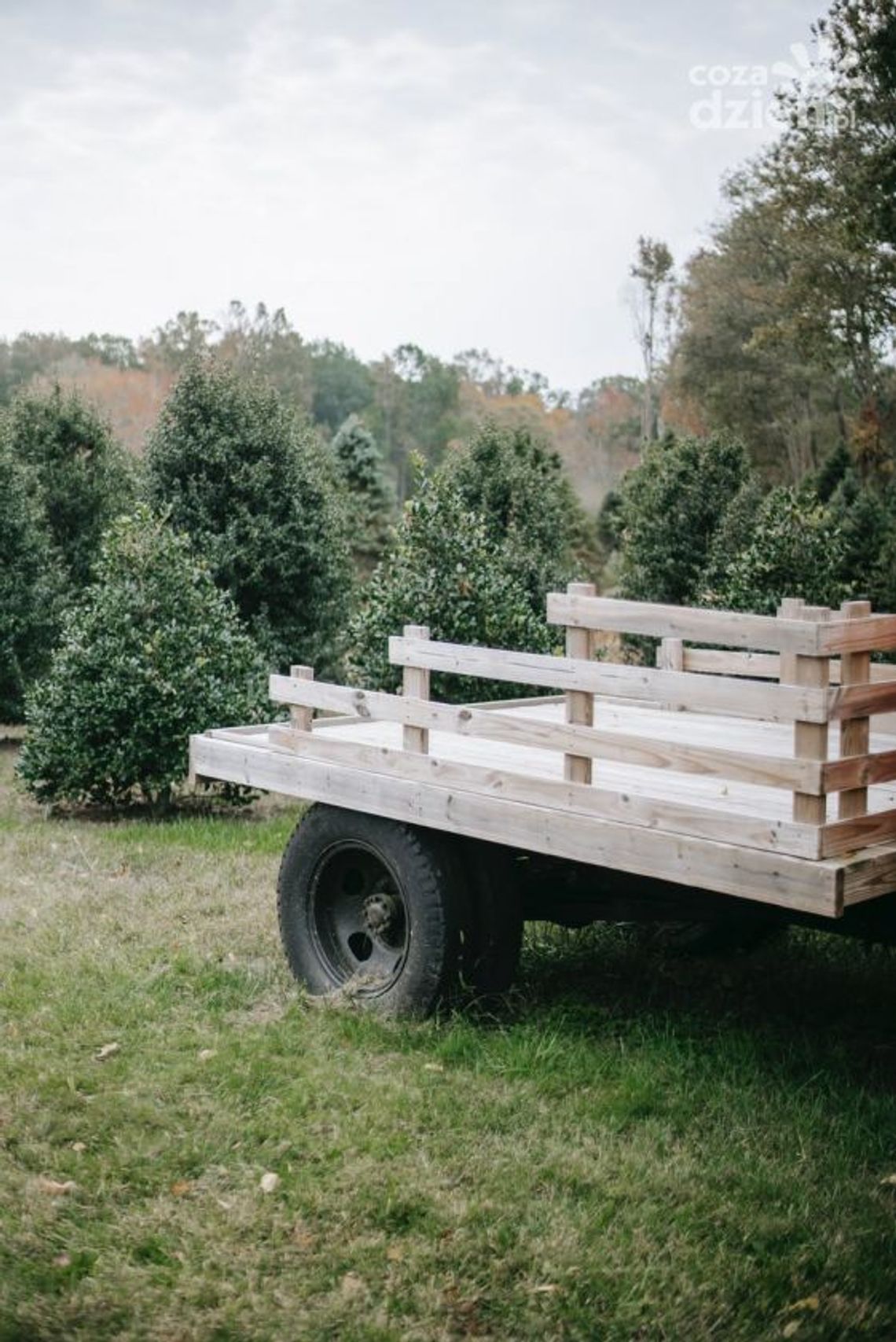 Ile kosztuje posiadanie przyczepki samochodowej? Ile kosztuje posiadanie przyczepki samochodowej?