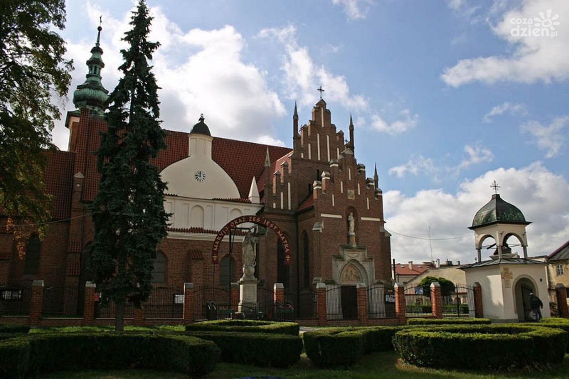 Iluminacja klasztoru Bernardynów. Jedna oferta