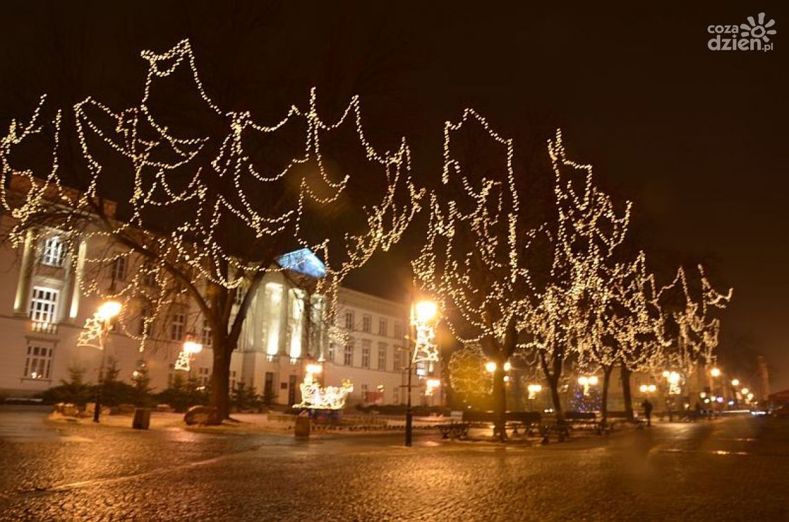 Iluminacje czyli Radom stroi się na święta ZOBACZ ZDJĘCIA