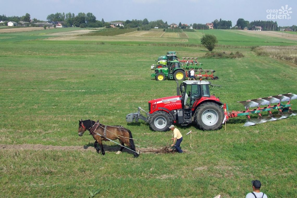IŁŻA. Dni Rolnictwa Radomskiego w Chwałowicach