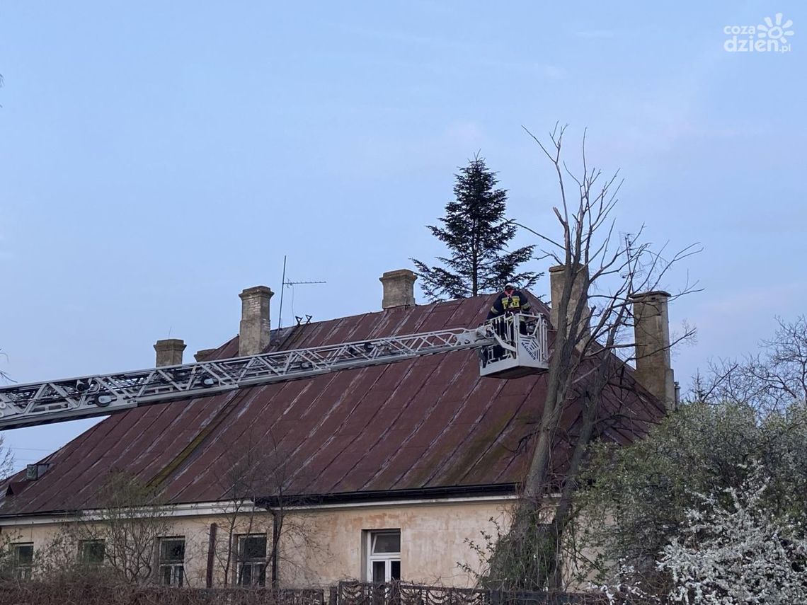 Iłża. Drzewo prawie spadło na budynek Iłża. Drzewo prawie spadło na budynek