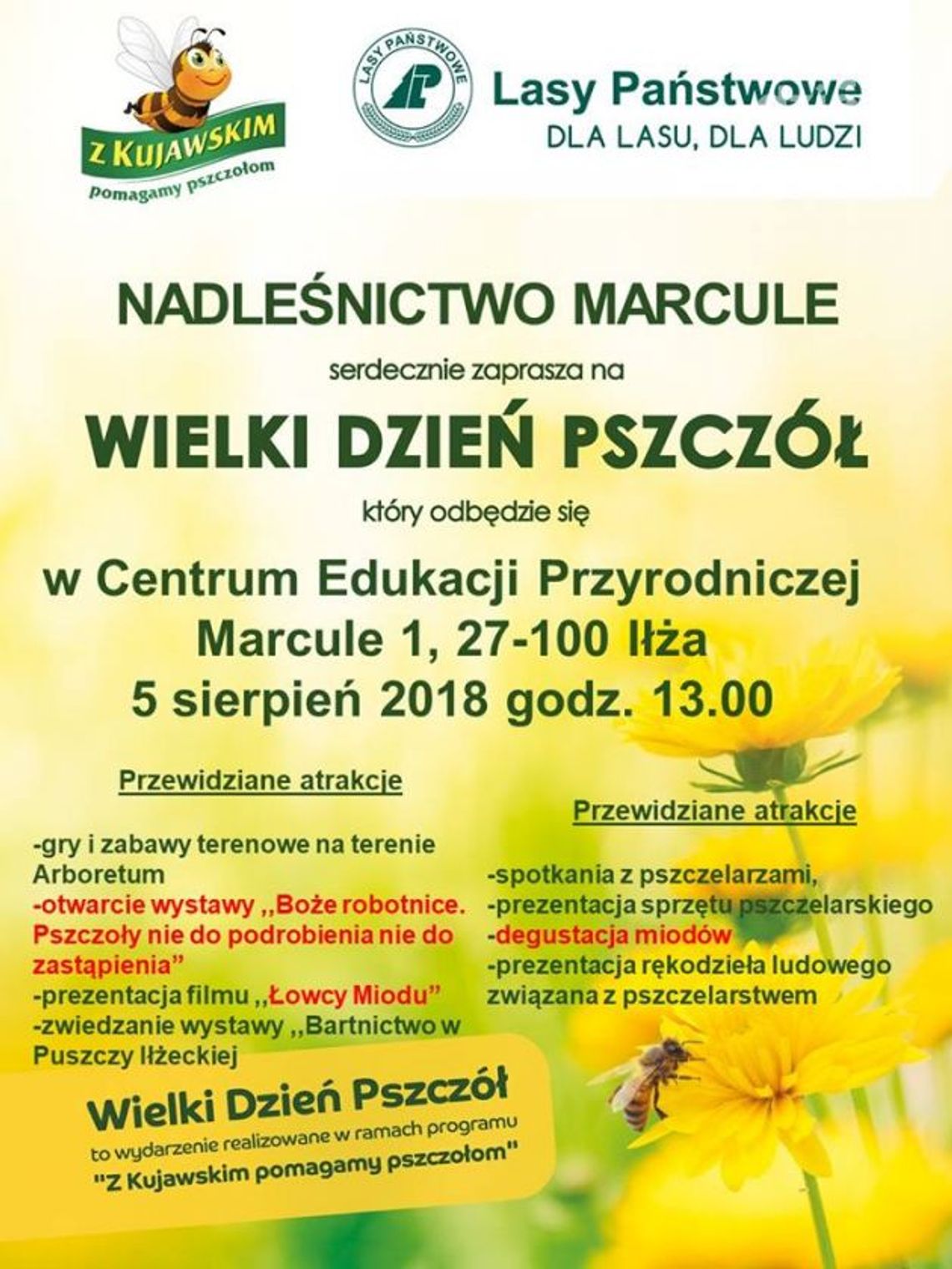 Iłża. Dzień pszczół w Marculach