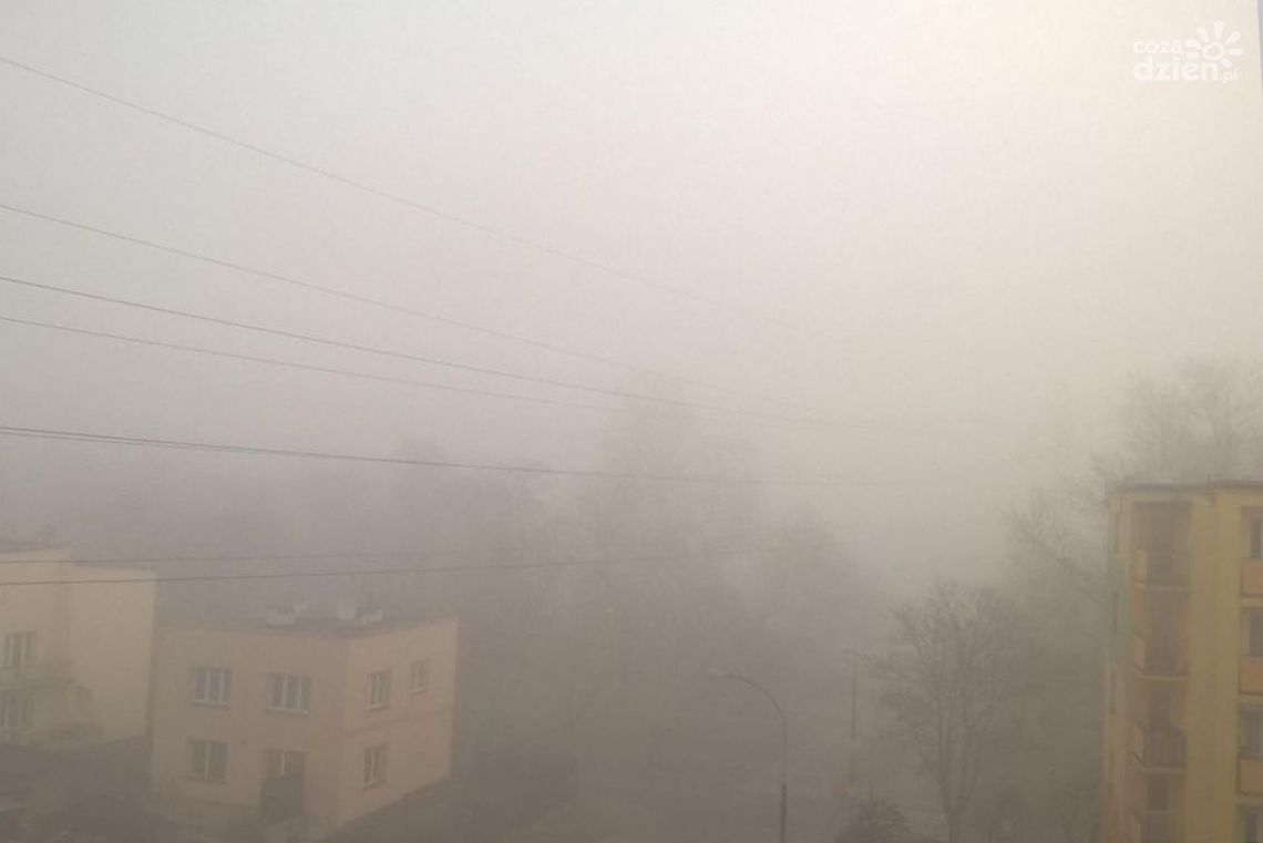 IMGW ostrzega – W nocy możliwe gęste mgły IMGW ostrzega – W nocy możliwe gęste mgły