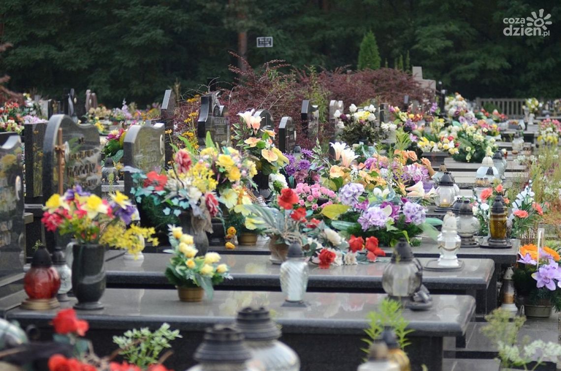 Infokioski na Firleju