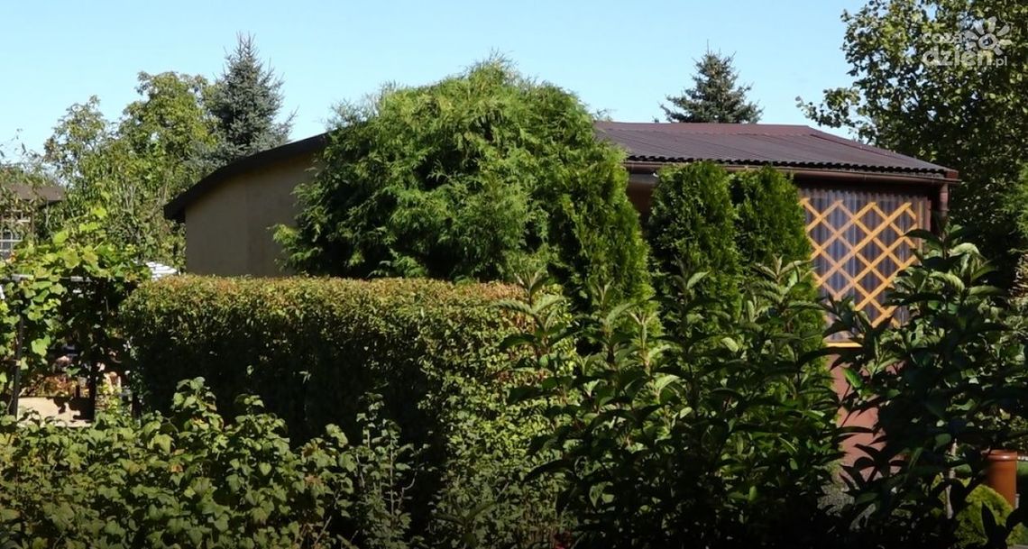 Informacje. Co z pieniędzmi dla działkowców? Informacje. Co z pieniędzmi dla działkowców?