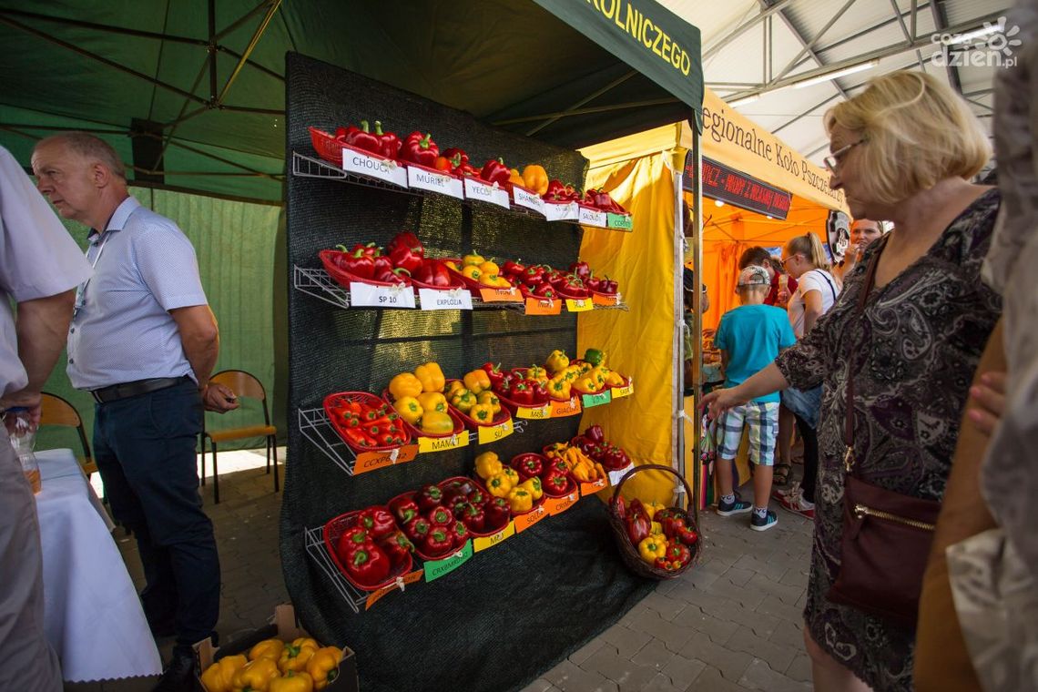 Informacje. Mają propozycje na walkę z inflacją