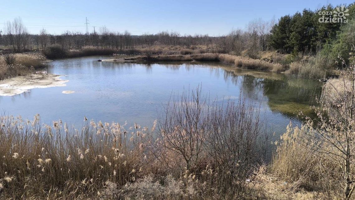 Informacje. Miasto odmówiło inwestorowi. Co miało powstać na Malczewie?