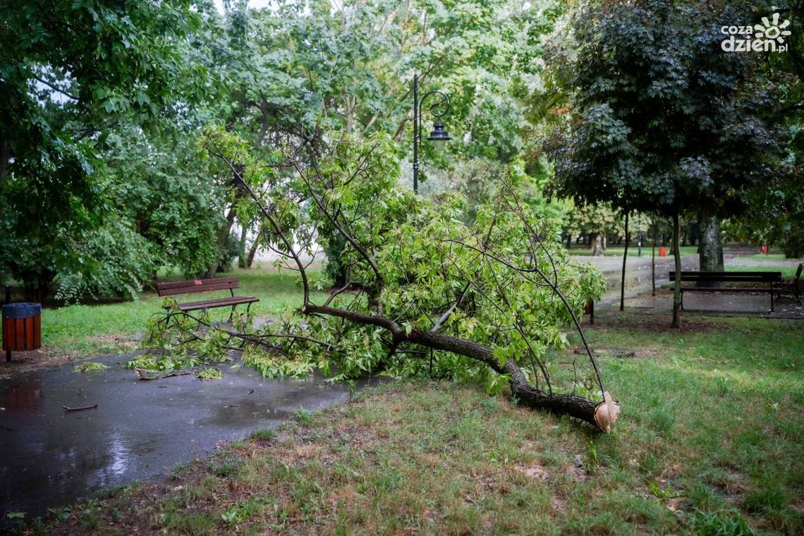 Informacje. Niebezpieczna nawałnica Informacje. Niebezpieczna nawałnica