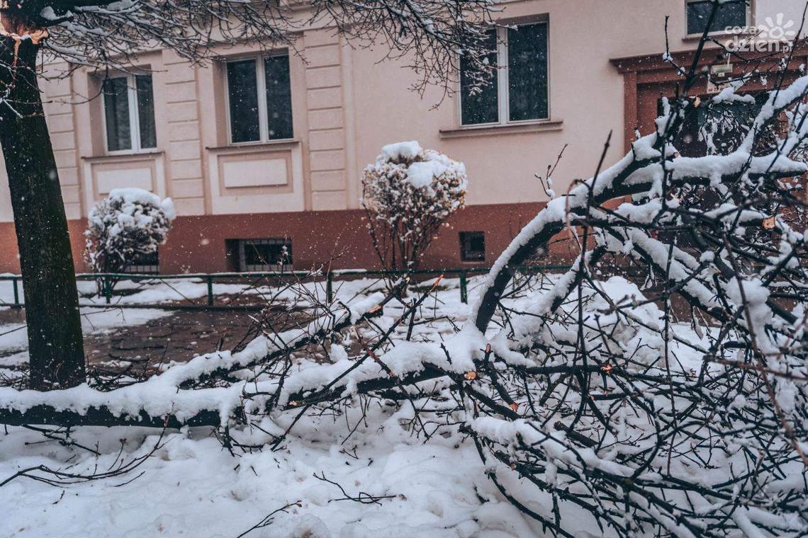 Informacje. Po ataku zimy kilkadziesiąt tysięcy gospodarstw bez prądu