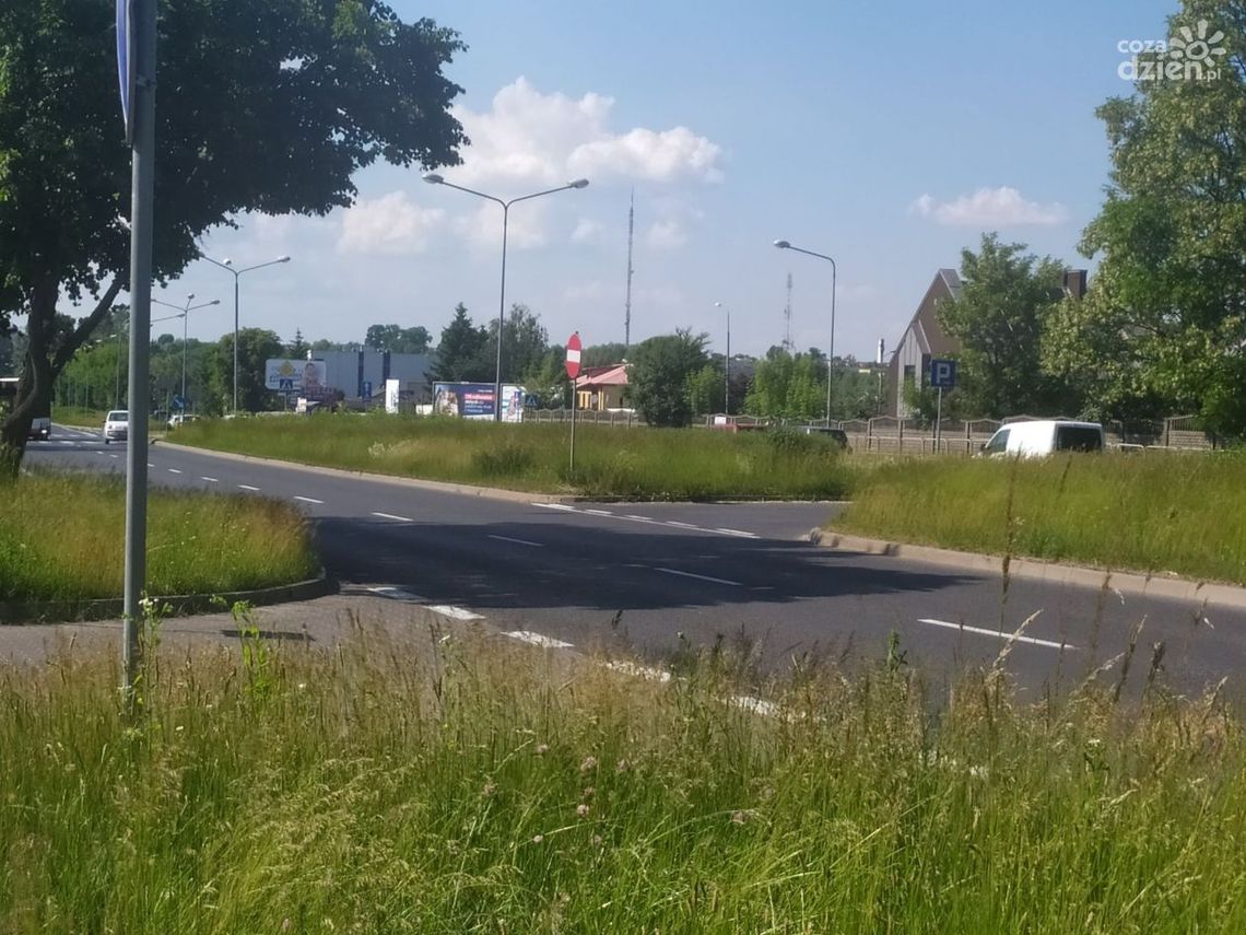 Informacje. Wysoka trawa zmorą kierowców