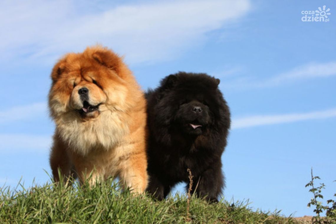 Inni płacą, a my nie!