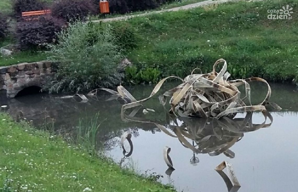 „Instalacja” prosto z kanału