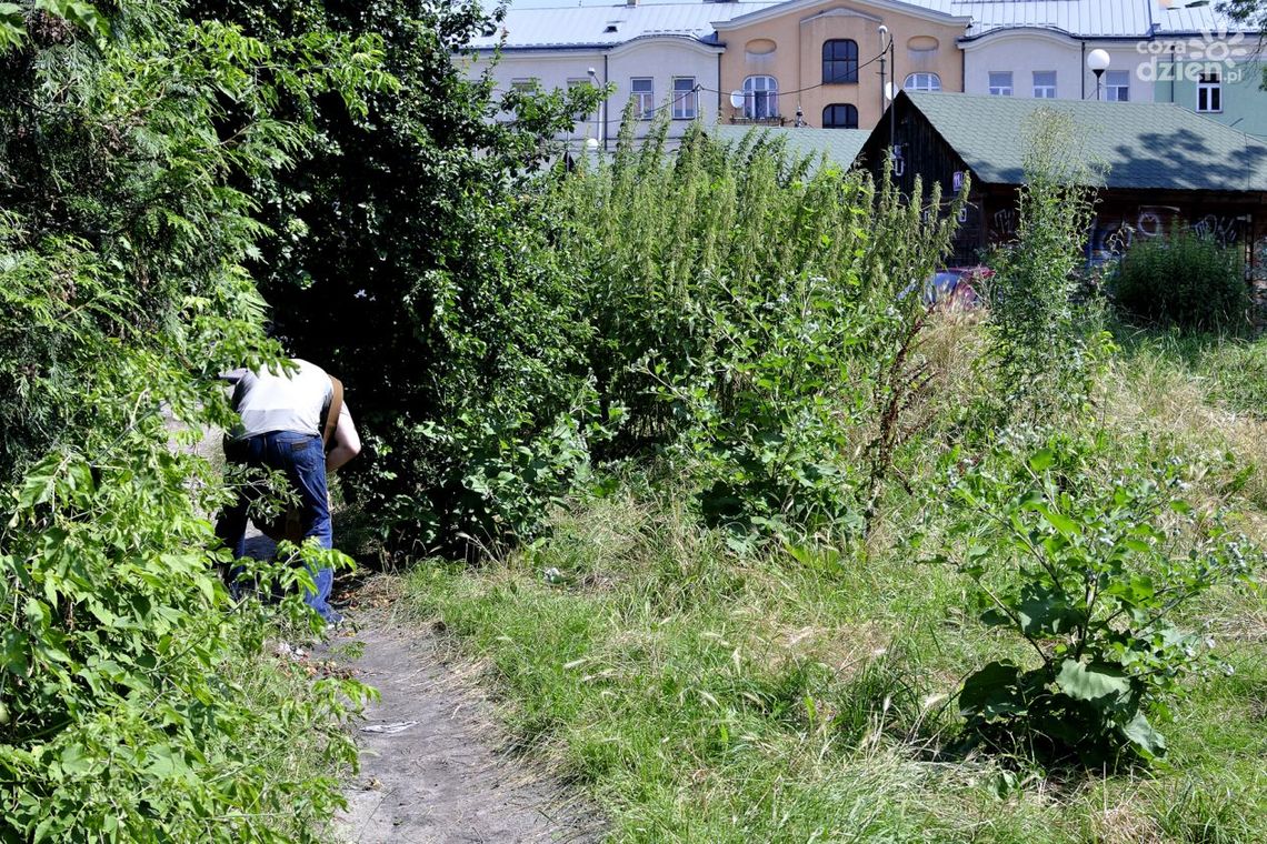 INTERWENCJA: Plac Małgorzatki ciągle straszy