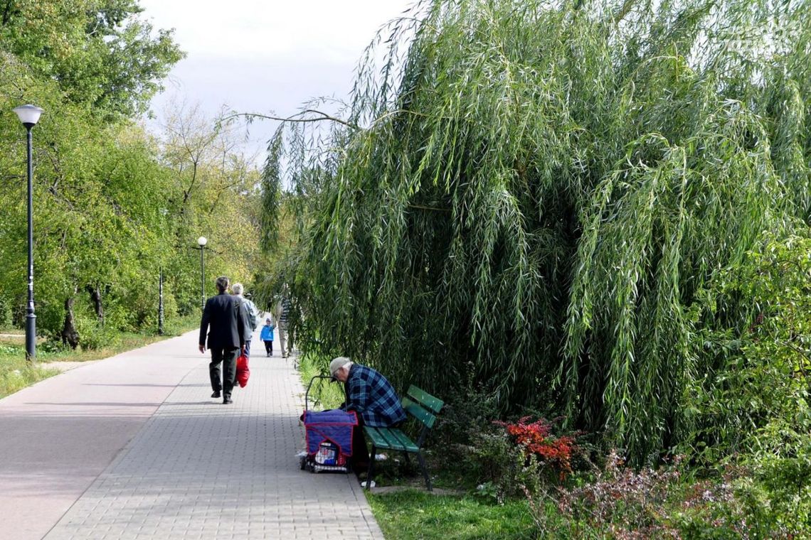 INTERWENCJE: Aleja prof. Kołakowskiego jak wysypisko śmieci!