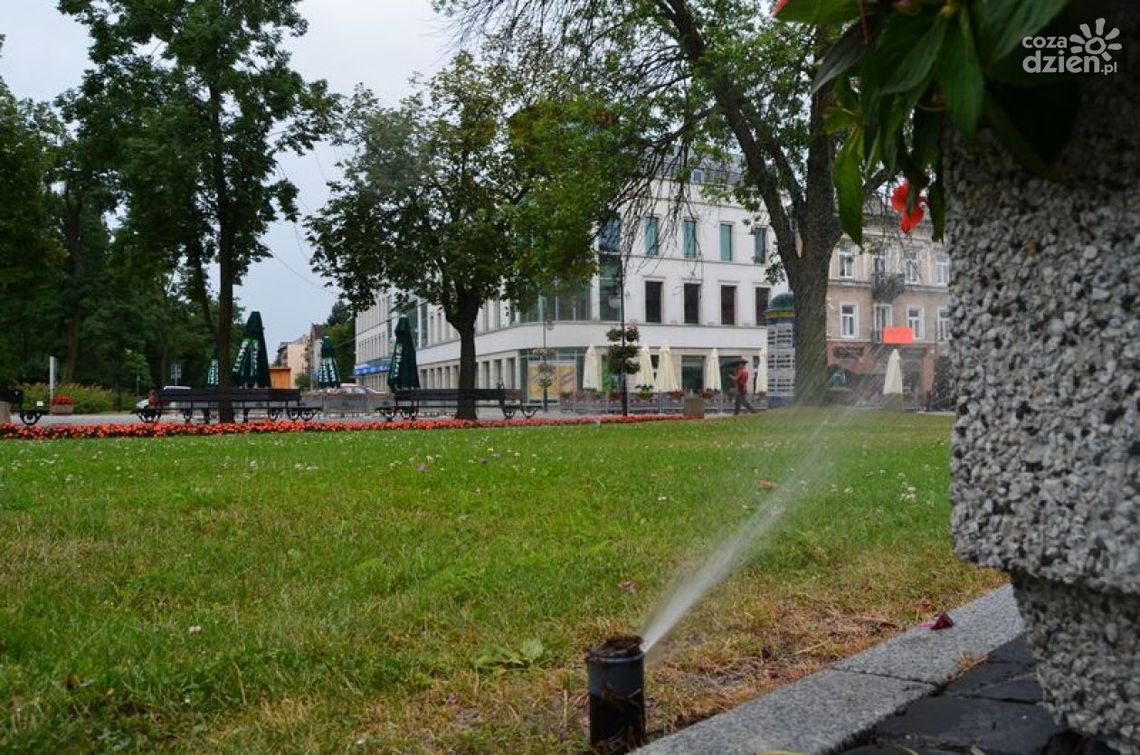 INTERWENCJE : Po co podlewać trawniki w czasie deszczu?