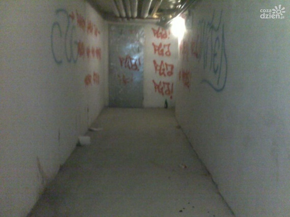 INTERWENCJE: Smród w piwnicy