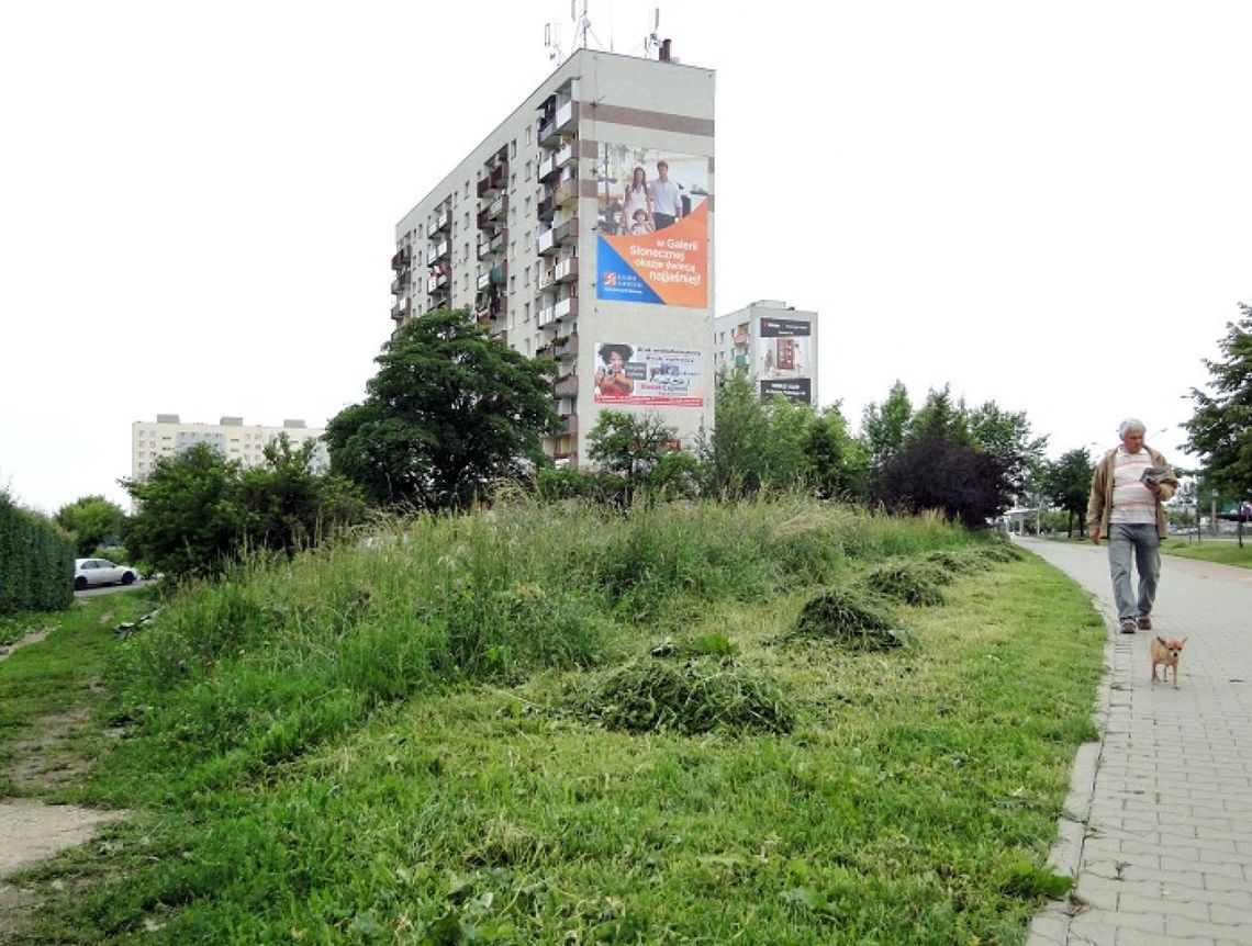 INTERWENCJE: Trawniki czekają na kosiarzy