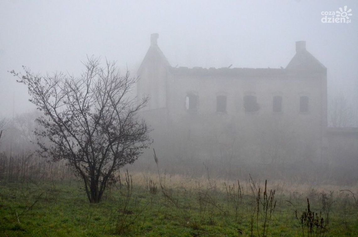 INTERWENCJE: Ulica Boczna - sterty śmieci i rudera INTERWENCJE: Ulica Boczna - sterty śmieci i rudera