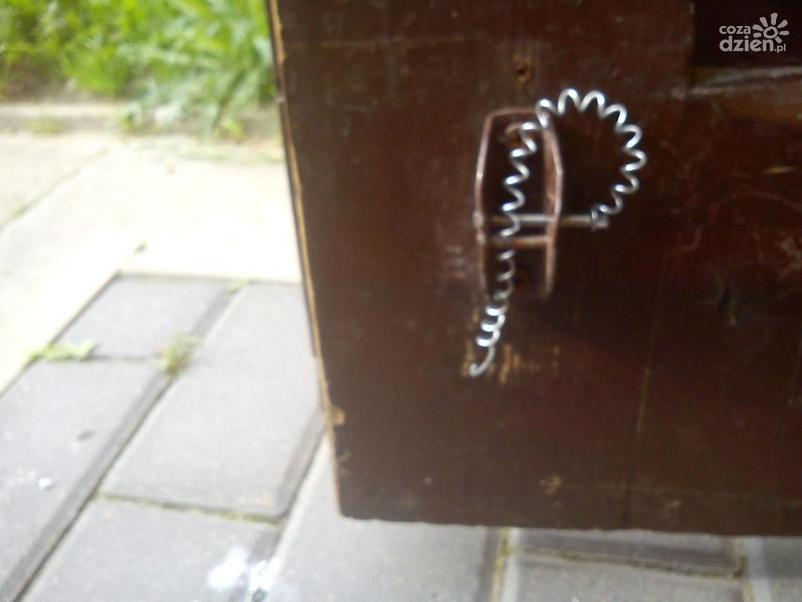 INTERWENCJE: Uparci wandale nad Potokiem