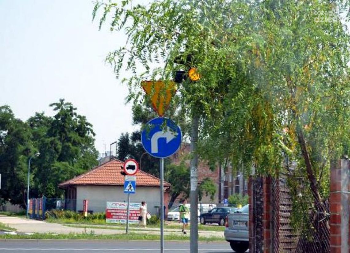 INTERWENCJE: Zarośnięte znaki!
