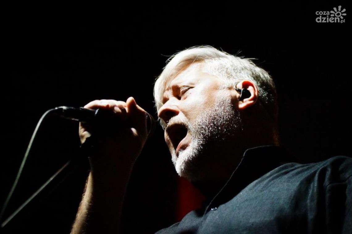 IRA: "Wymyśleni" - gorąca premiera