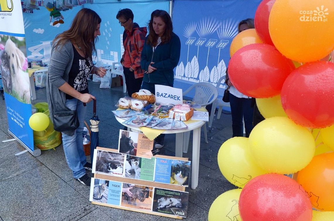 IV Niedziela na 4 Łapach IV Niedziela na 4 Łapach