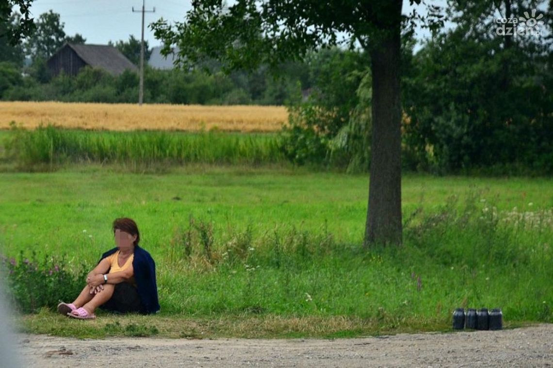 Jagodowy problem przy drodze