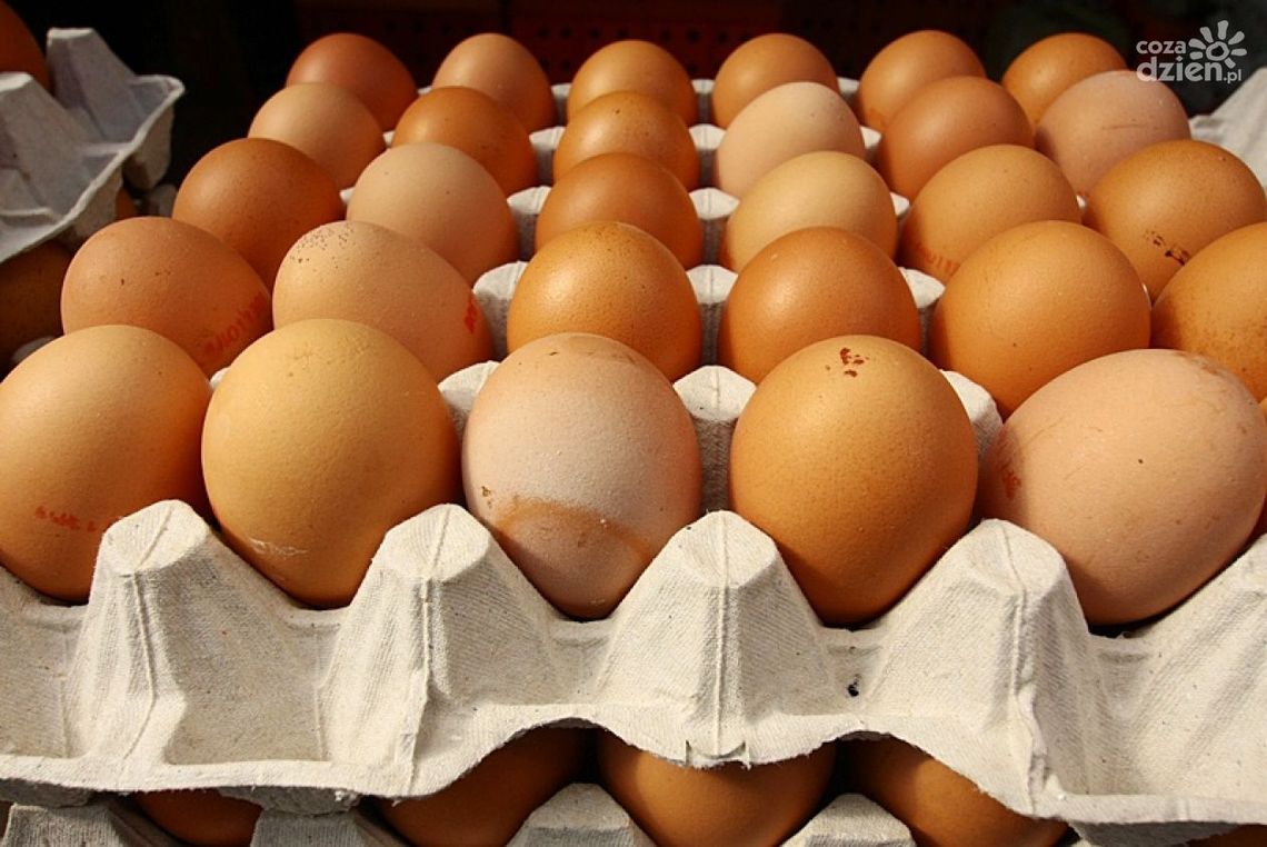 Jajeczne ABC - wszystko co powinniśmy wiedzieć Jajeczne ABC - wszystko co powinniśmy wiedzieć