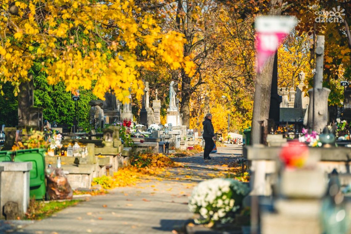 Jak dojechać na cmentarze Jak dojechać na cmentarze