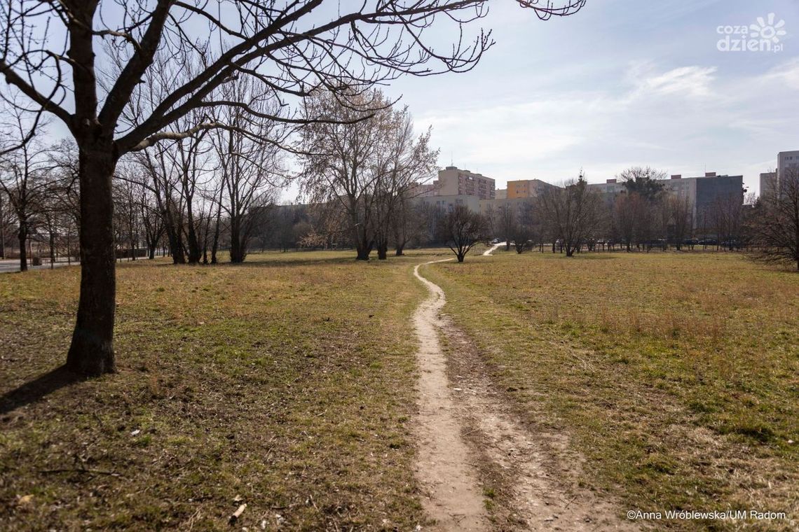 Jak powinien wyglądać teren rekreacyjny na Ustroniu?