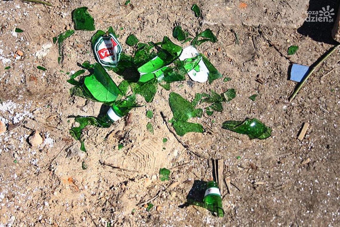 Jak pozbyć się pijanych wandali?