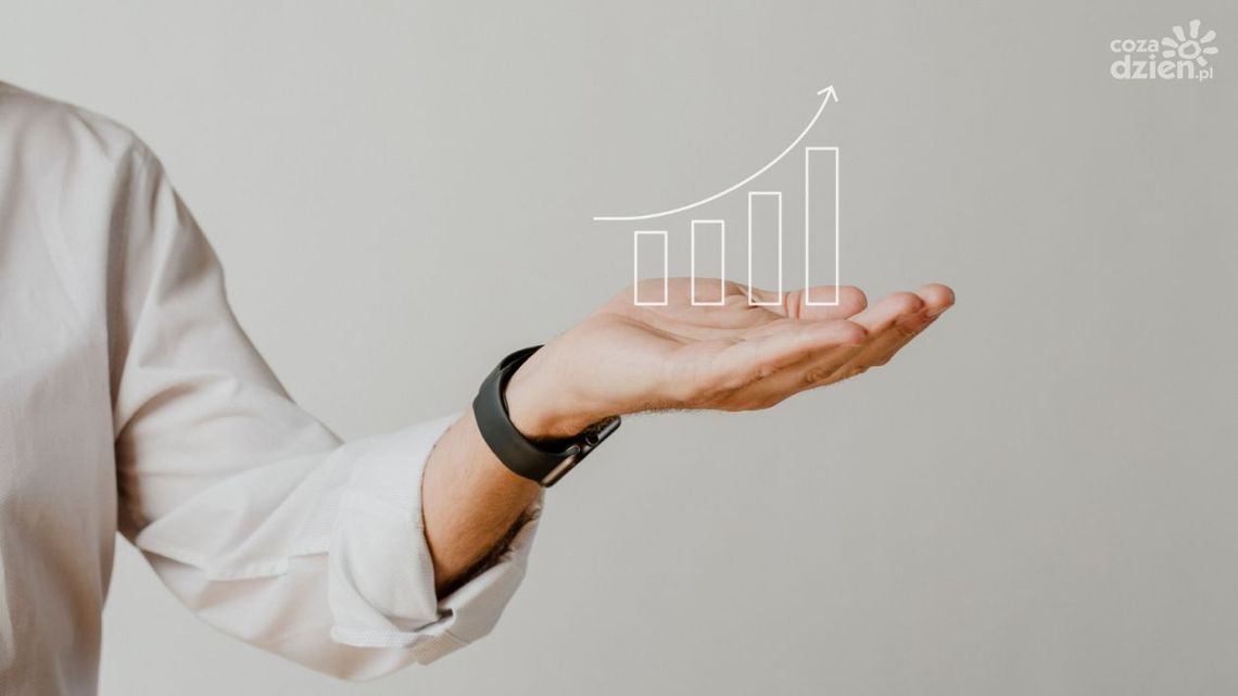 Jak rozwija się biznes w powiecie radomskim? Odpowiedź może was zaskoczyć! Jak rozwija się biznes w powiecie radomskim? Odpowiedź może was zaskoczyć!