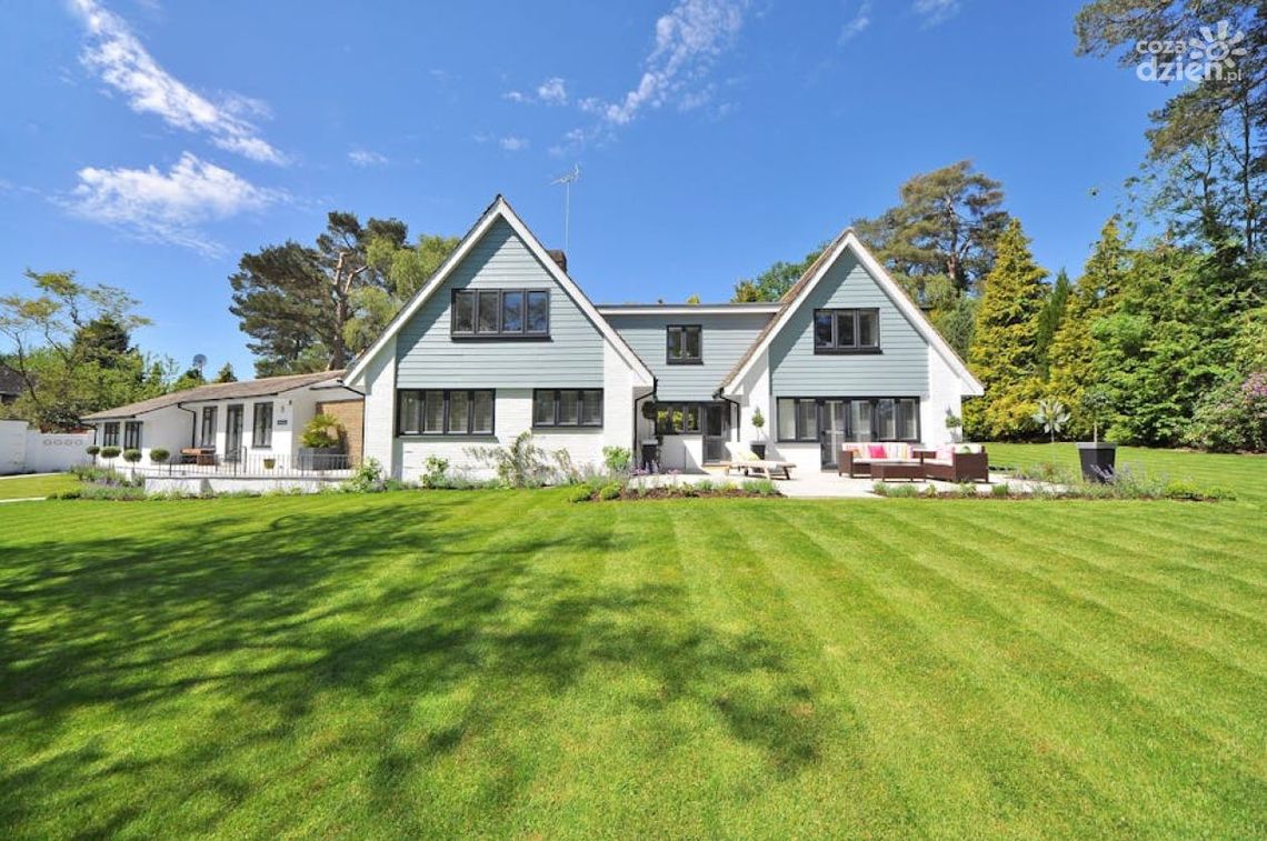 Jak stworzyć ogród, w którym będzie się chciało spędzać czas? 4 kwestie, o które warto zadbać