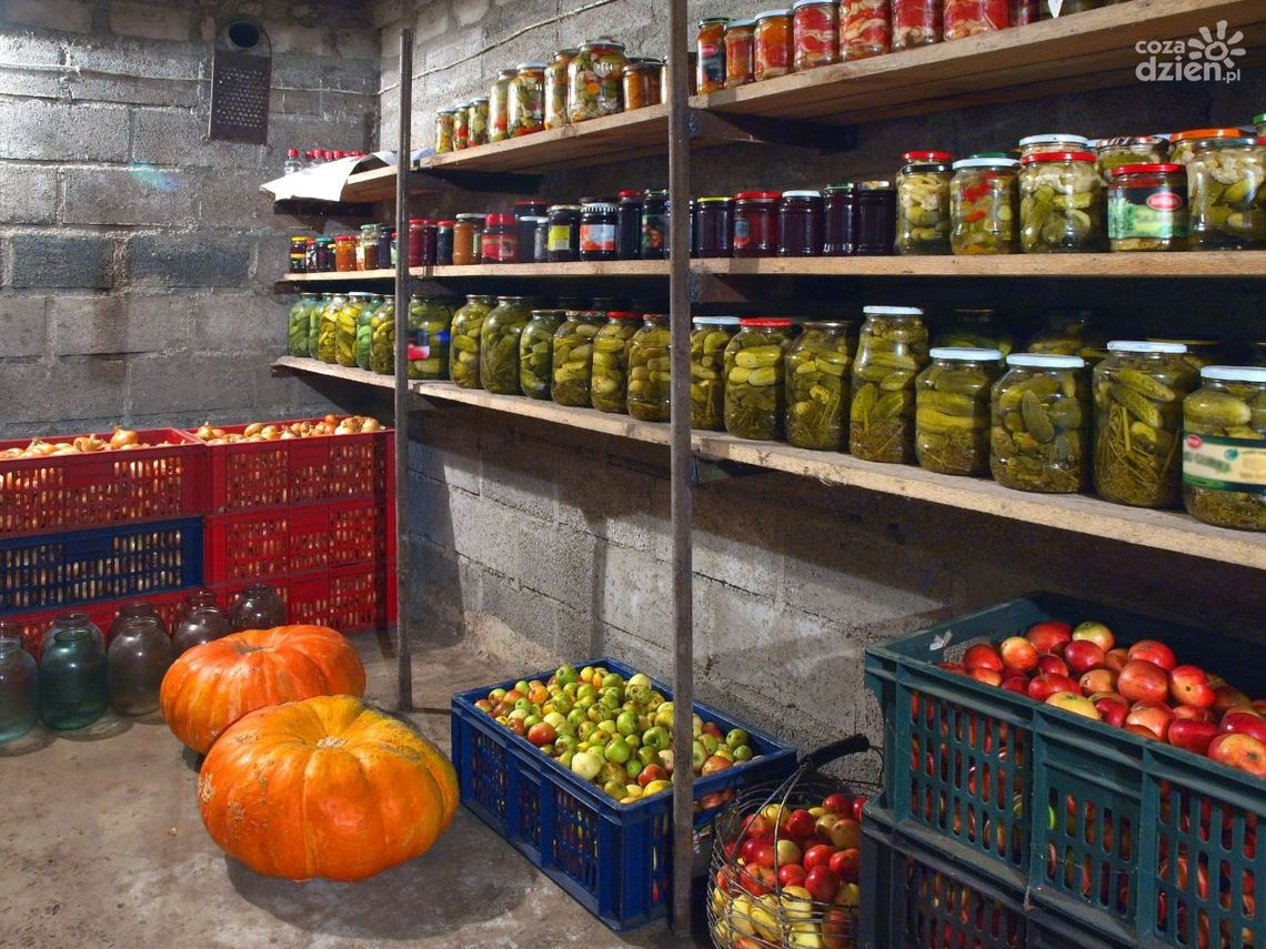 Jak urządzić piwnicę w domku jednorodzinnym? Jak urządzić piwnicę w domku jednorodzinnym?