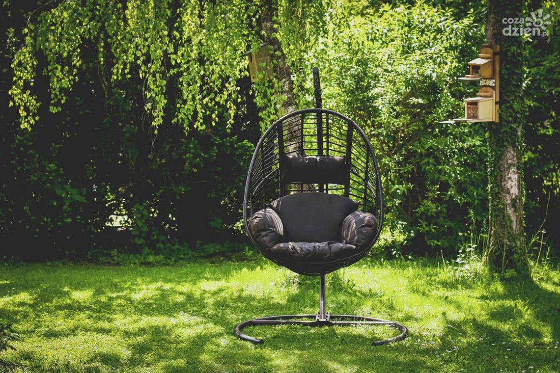Jak urządzić wygodny ogród marzeń? 